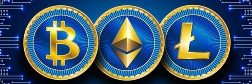 ◇ Hodl_Hustler ◇ banner