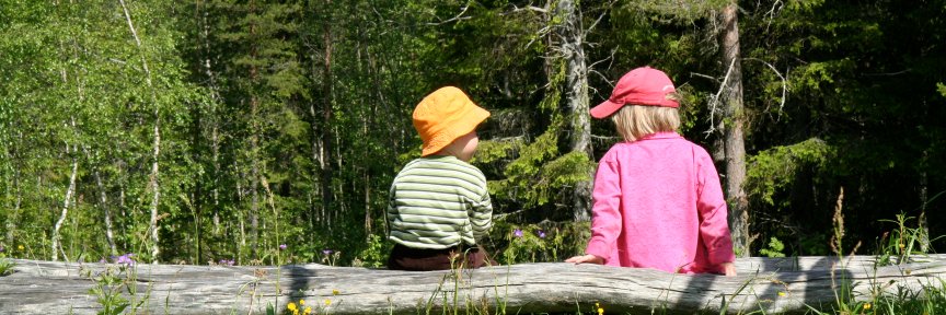 Länsstyrelsen Västerbotten banner