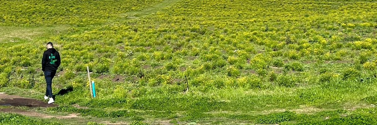 CelicoFederico's profile banner image