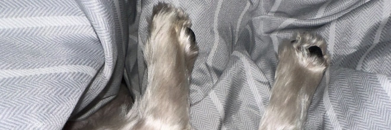 🤪Nina😜 banner