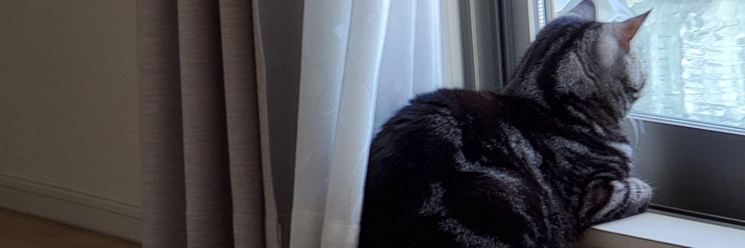 cathappy0524's profile banner image