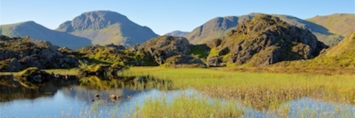 Steve Winterburn ❤️ 💛 banner