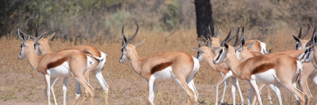 Stephen Larkin banner