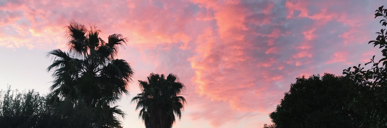 lxanne__'s profile banner image