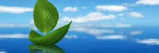 msrn_charmed's profile banner image