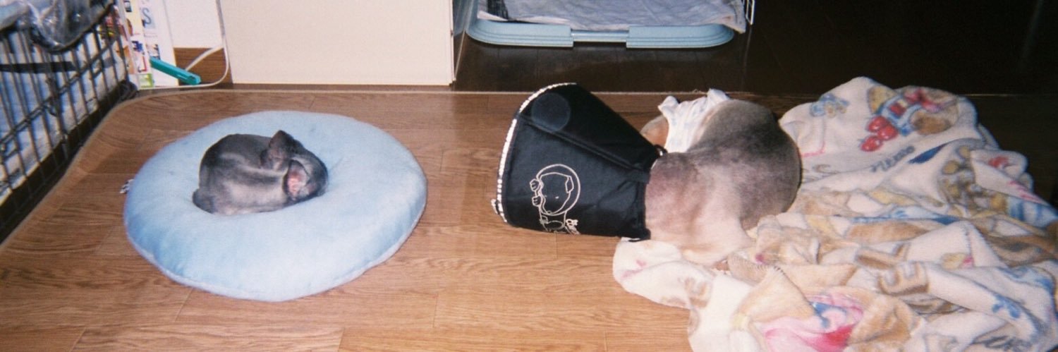 あゆちよす banner