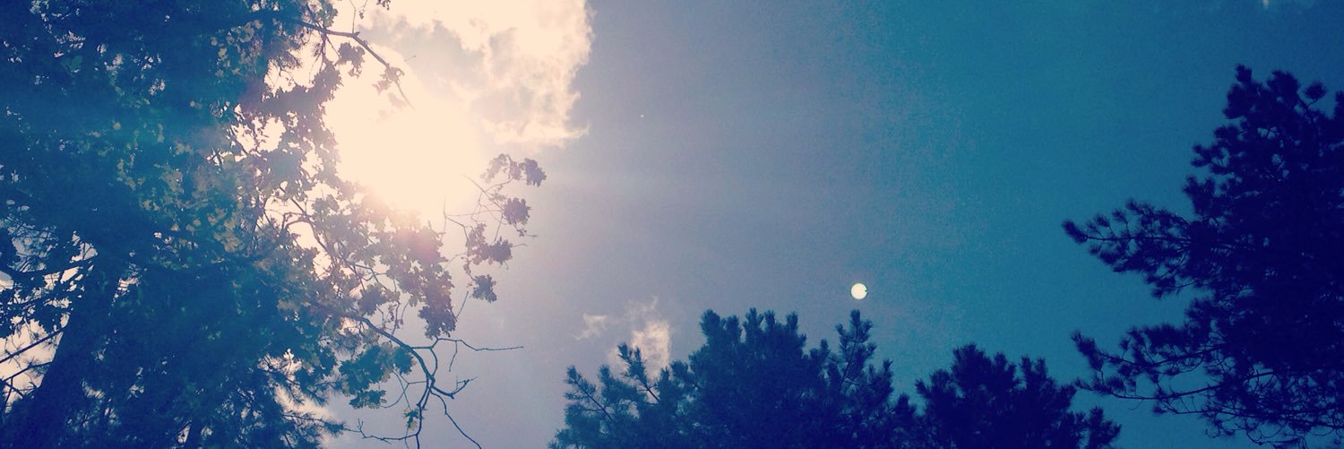 wildernessweds's profile banner image
