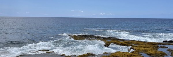 nberardi Profile Banner