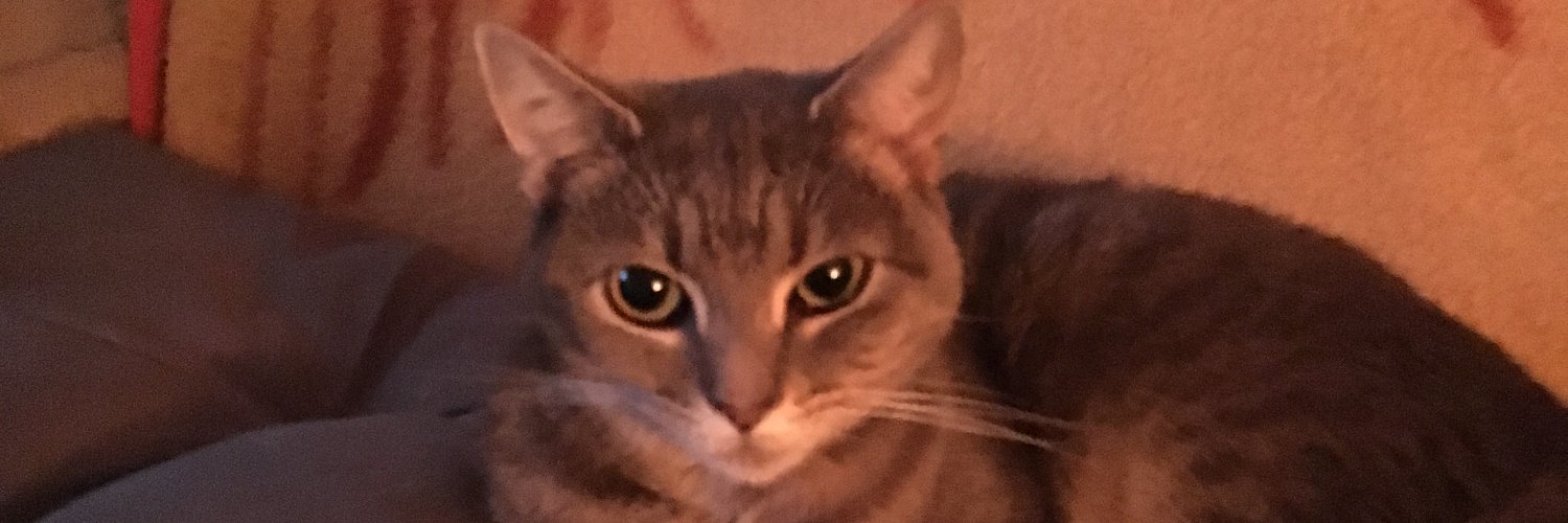 KutasTerry's profile banner image