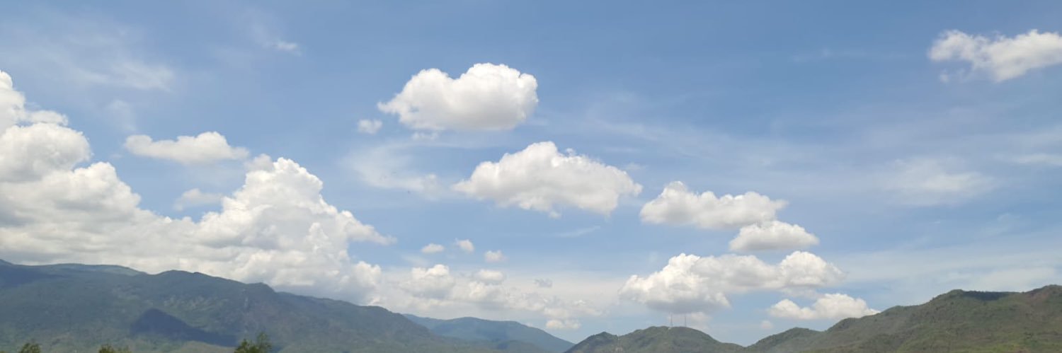 Sarah Yang banner