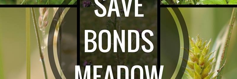 🌳 Save Bonds Meadow 🌳 banner