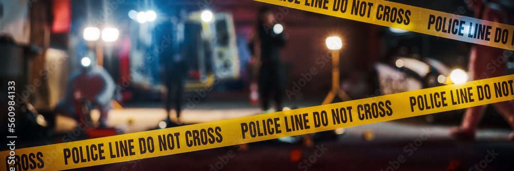 HomicideStudies banner