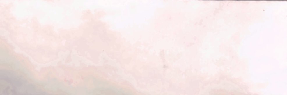 Ji banner