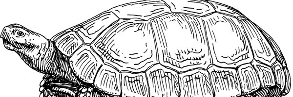 OrganSlow Profile Banner