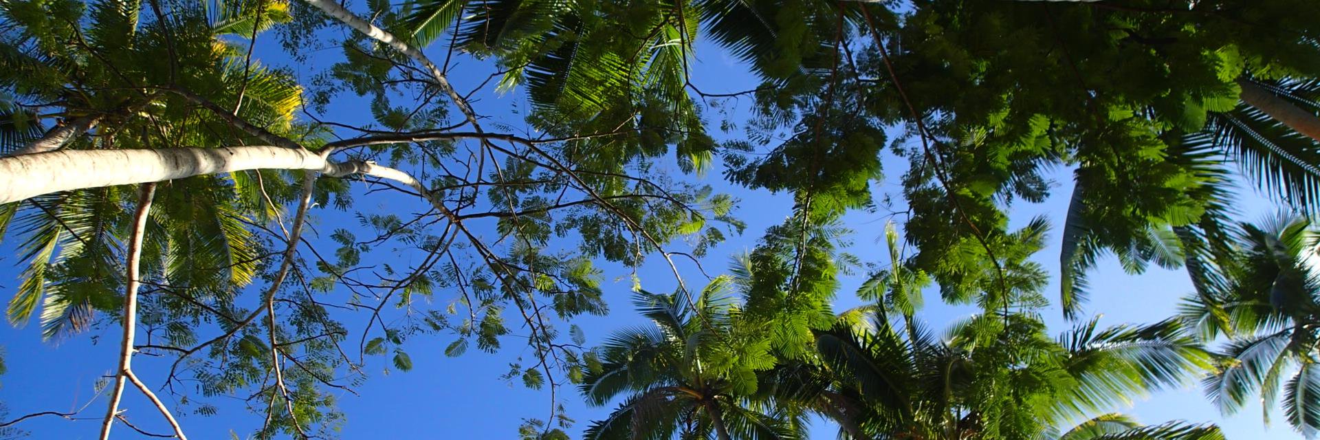 Thorsten Kansy banner