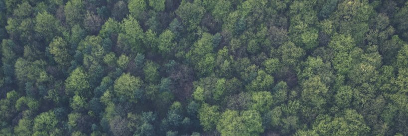 MargotRegnier's profile banner image