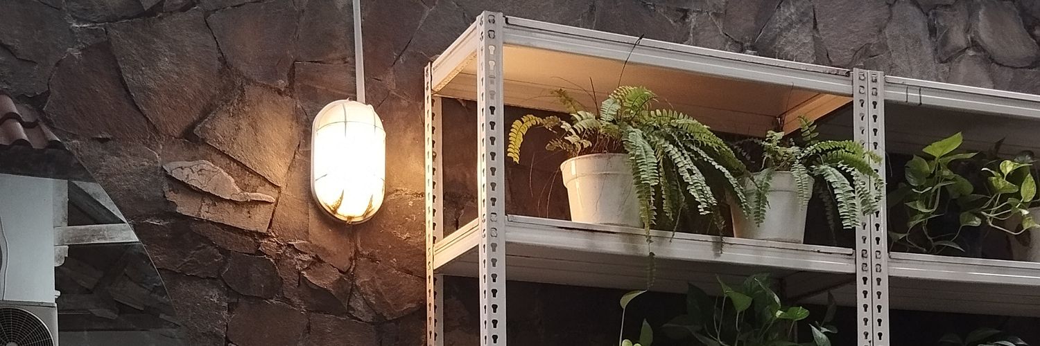sunflaw🌻 banner