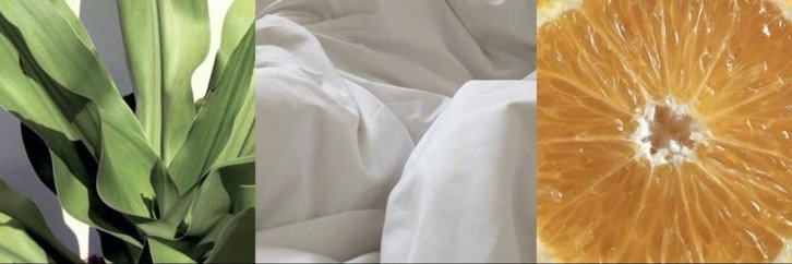 rebwellion's profile banner image