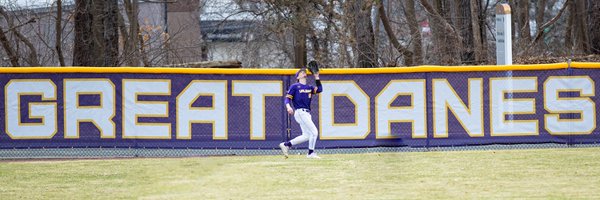 UAlbanyBaseball Profile Banner