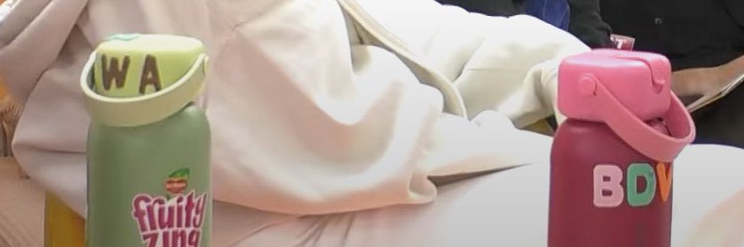 rocher ₊ ⊹❀'s banner