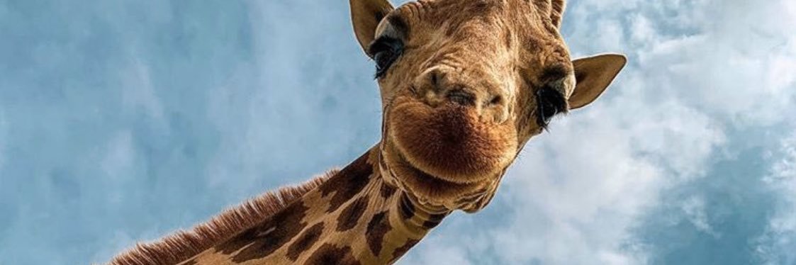 Mznahss's profile banner image