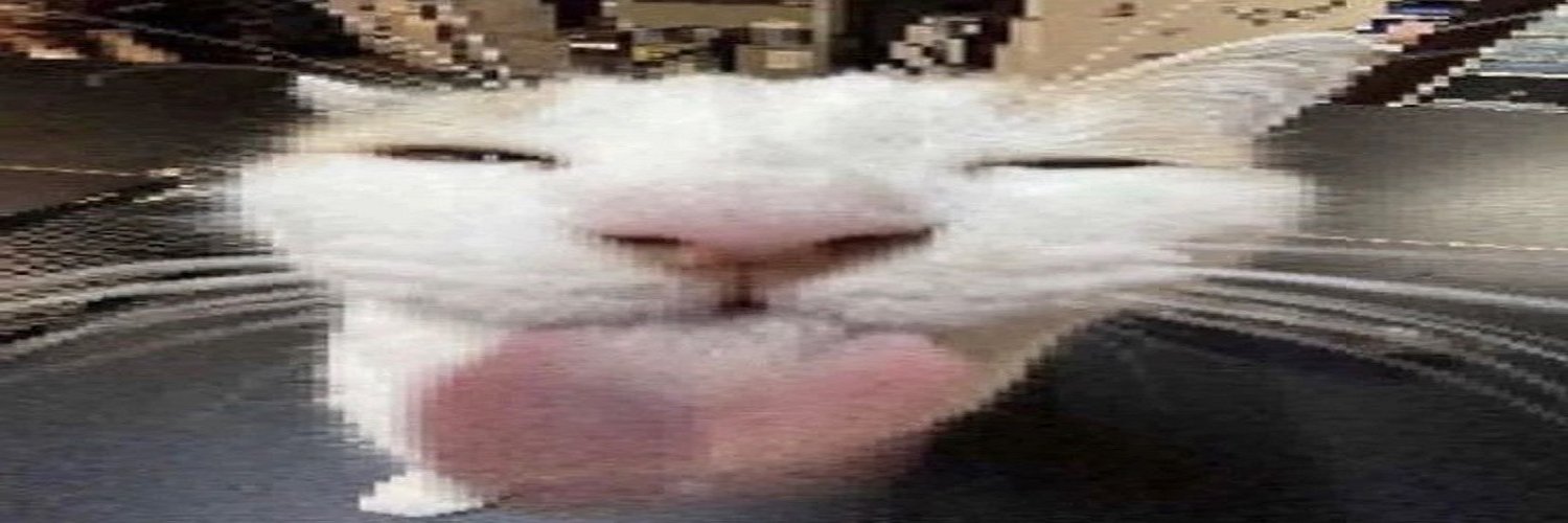 Paka_SSBU's profile banner image