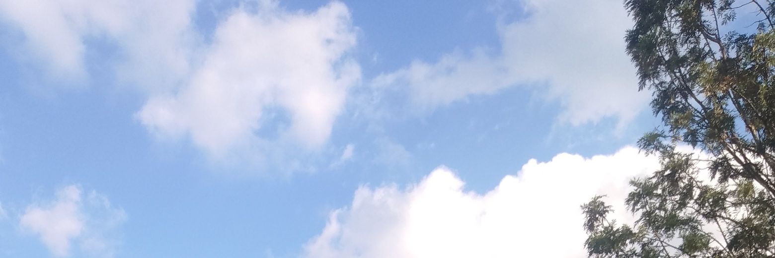 cecenasaaa's profile banner image