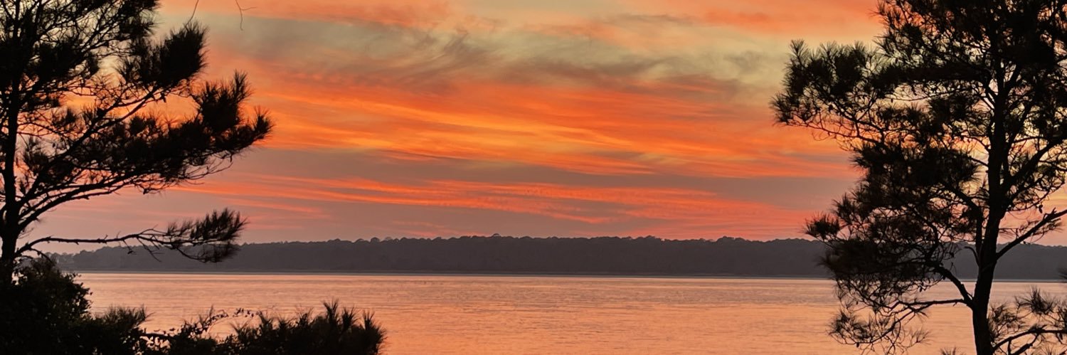 Daniel Berk 🐝 banner