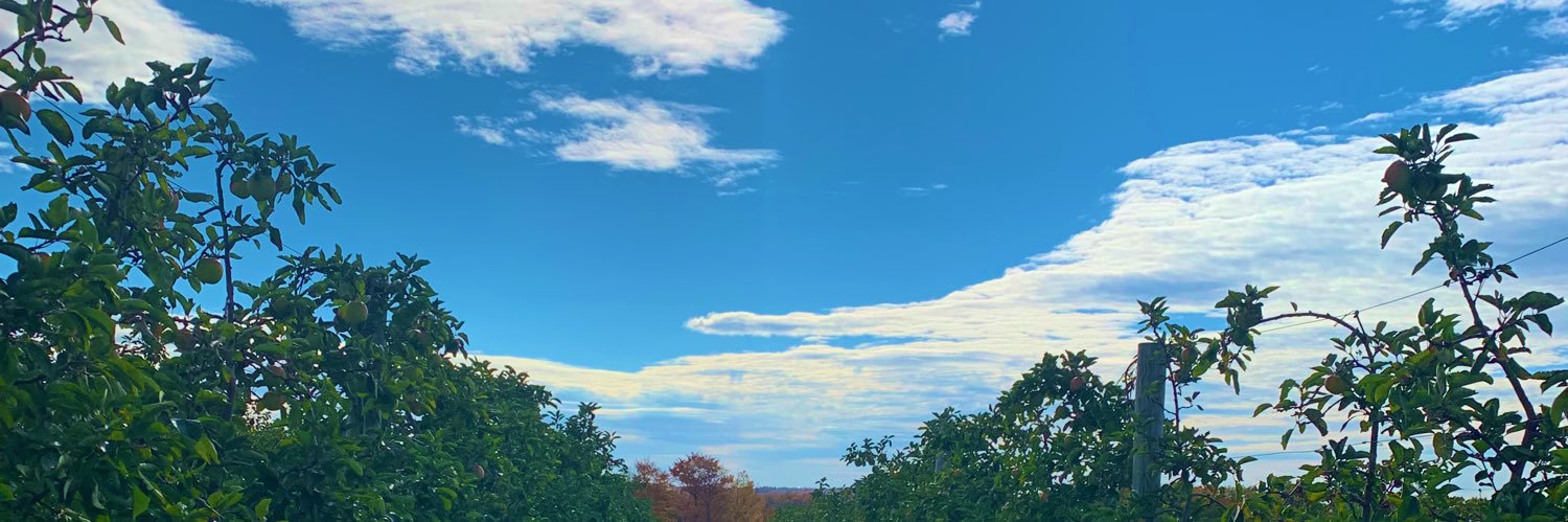 sweetfables's profile banner image