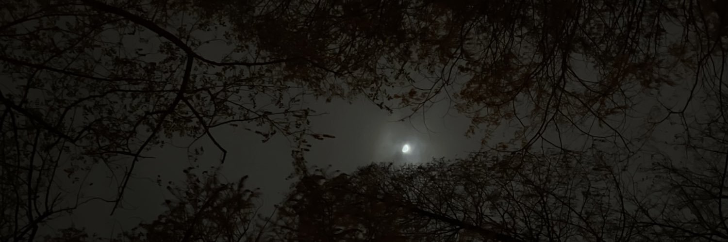 leavinghost's profile banner image