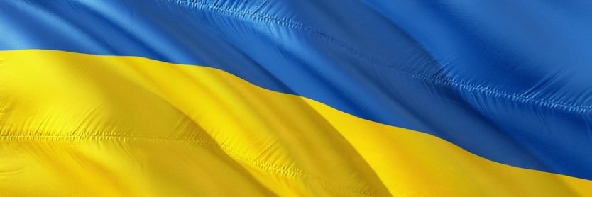 Aiste Vitkauskaite 🇺🇦 banner