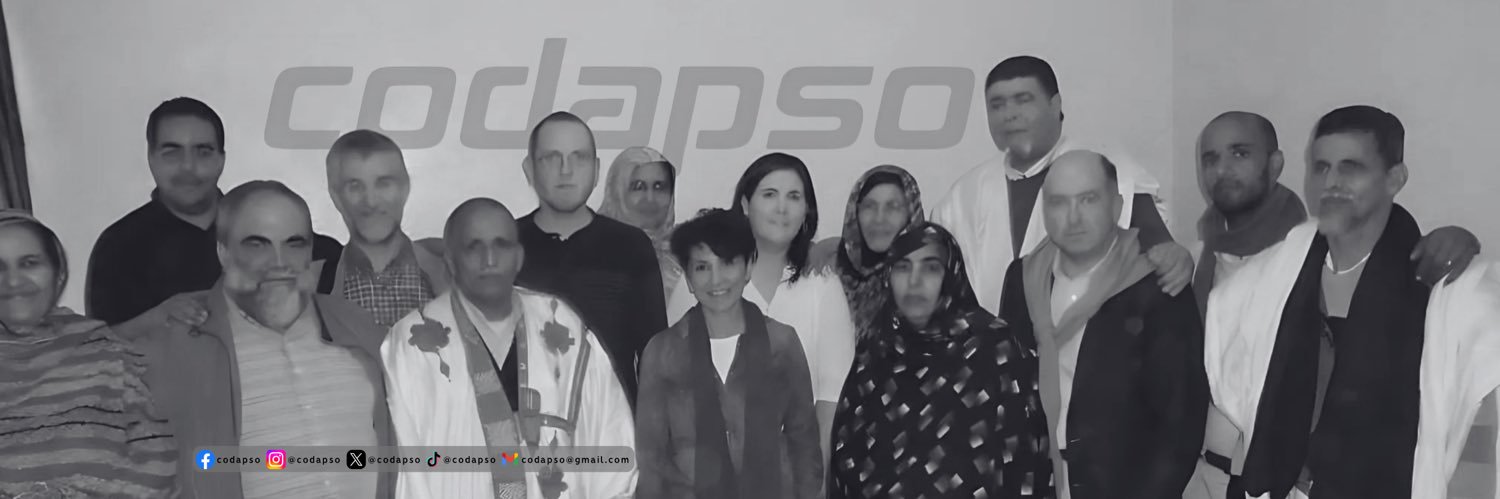codapso's profile banner image