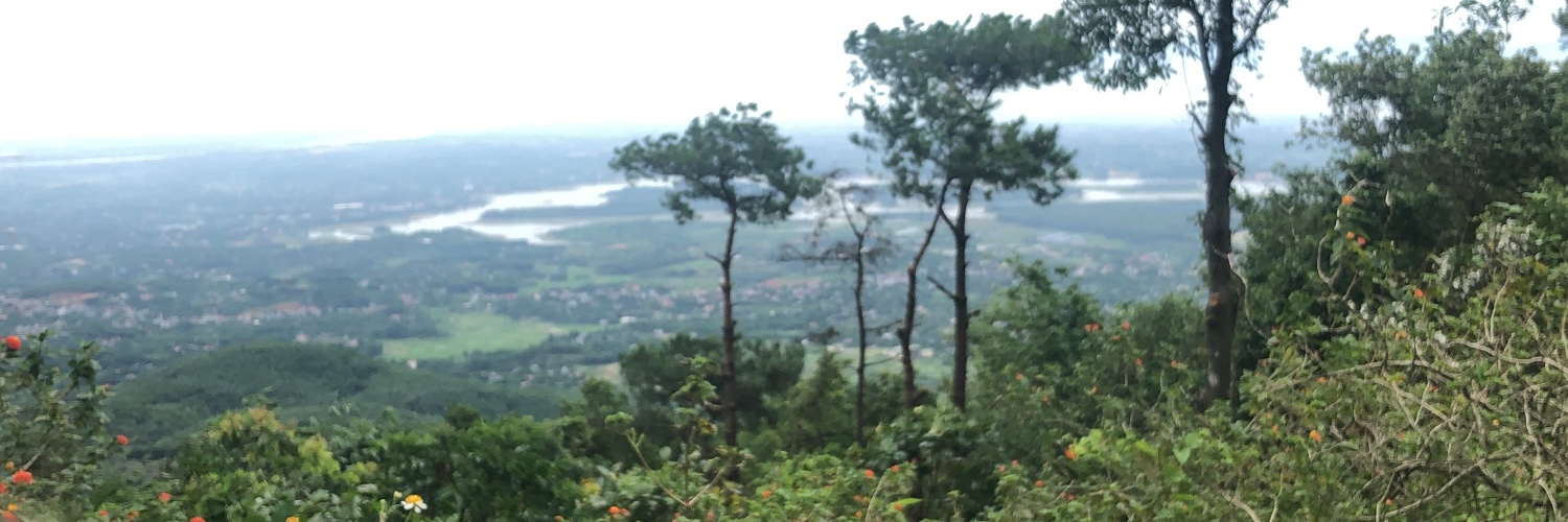 Michael Nguyen banner