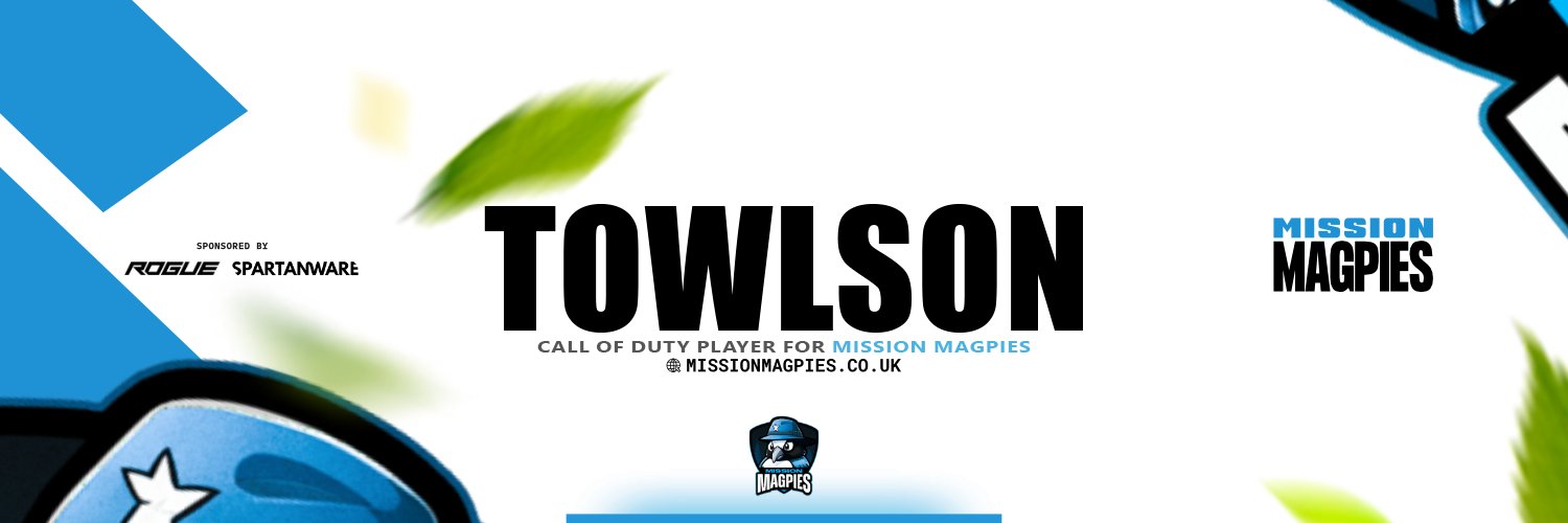 Towlson banner