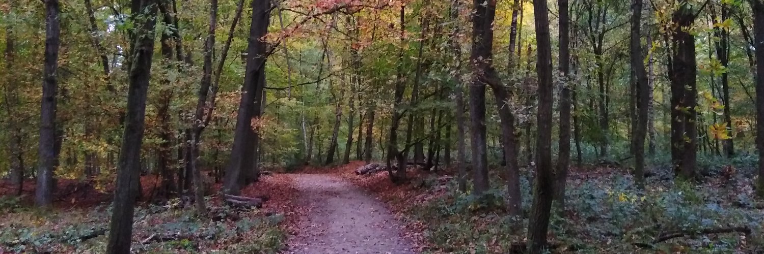 leniallmacd's profile banner image