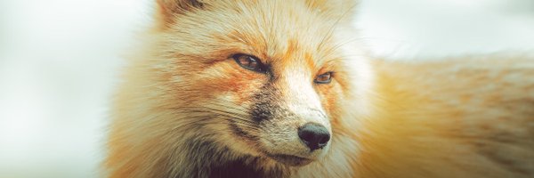 LeeCook_Images Profile Banner