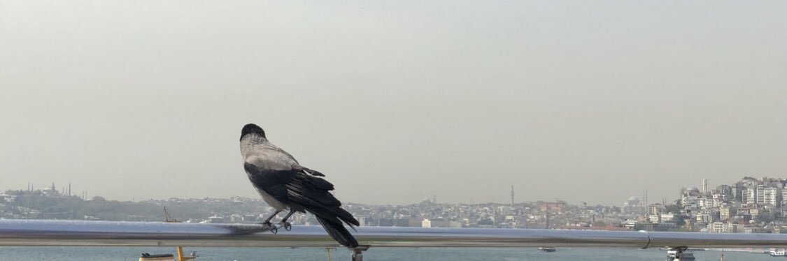 AsutFurkan's profile banner image