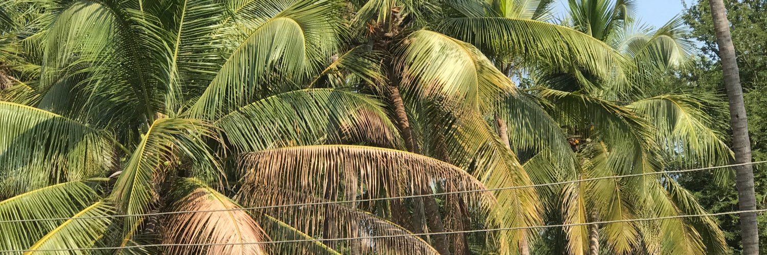 Vivekvak's profile banner image