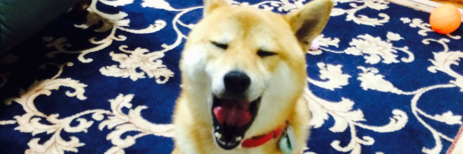 gobancho075's profile banner image