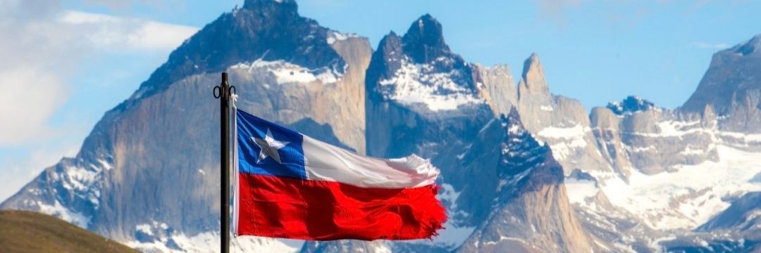 Ximena Englisch banner