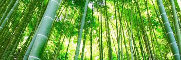 ruruvi Profile Banner