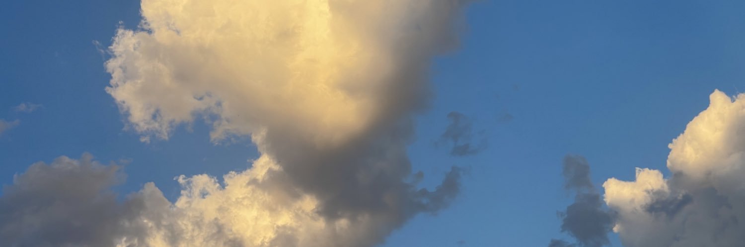 allliiisson's profile banner image
