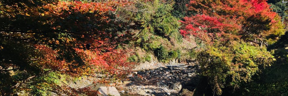 เสเพลบอยชาวไร่🇹🇭💛💜 banner