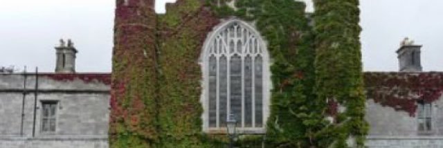 Colette Kelly banner