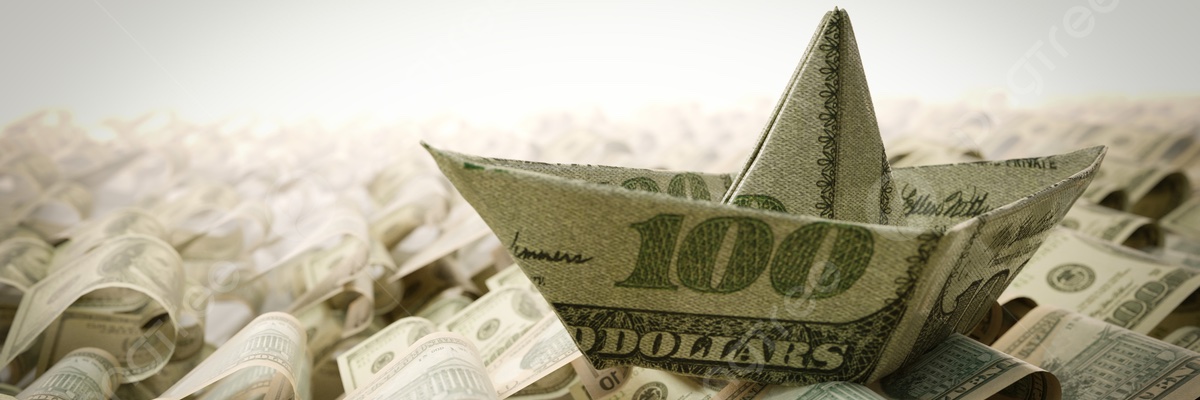 Yo❤️🐧Pingüino de Humboldt & 🐸 Ranita de Darwin banner