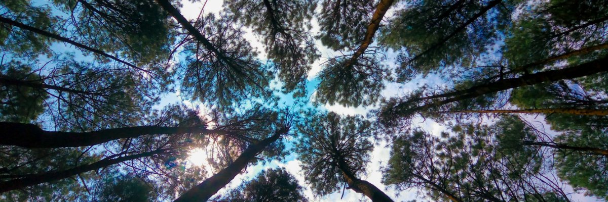 Dianafatcha's profile banner image