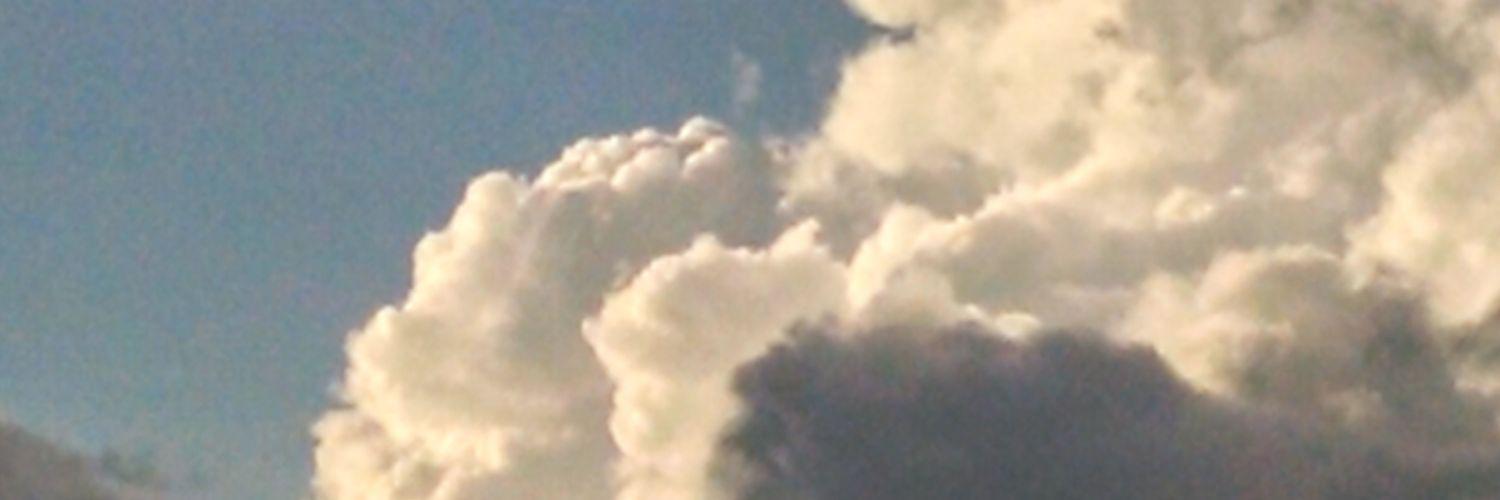 bentcarey's profile banner image