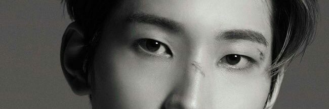 Monalisa banner