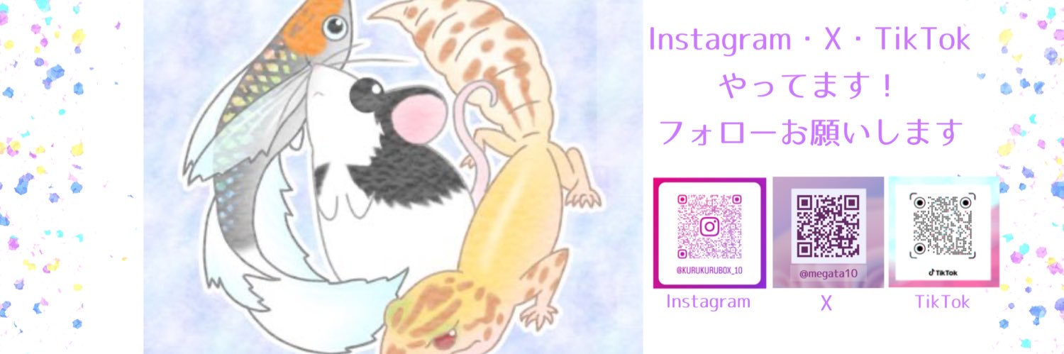 くるくるBox banner