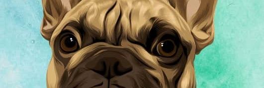 Lucy_Ware's profile banner image